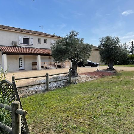 Studio 40M2 Avec Terrasse Le Mas De Lauriane Saintes-Maries-de-la-Mer Exterior photo